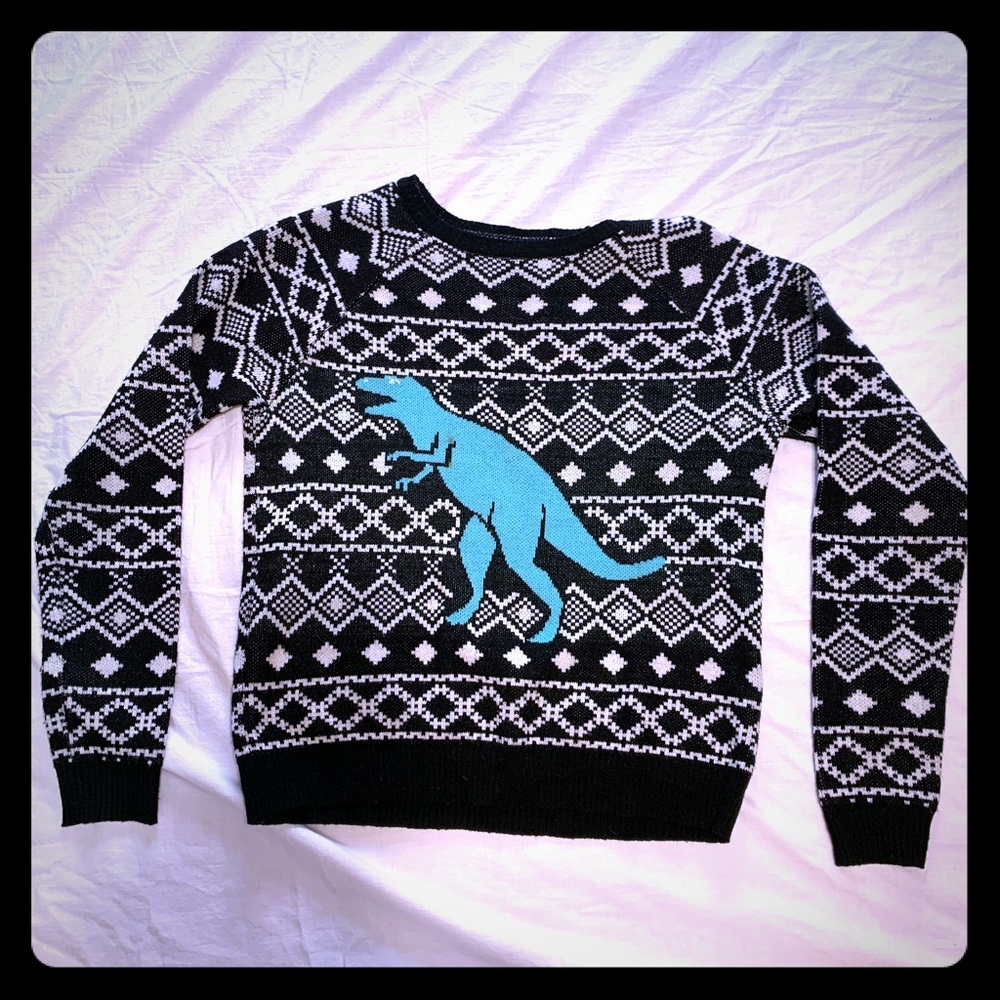 Dinosaur sweater